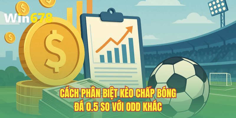 Cách phân biệt kèo chấp bóng đá 0.5 so với odd khác