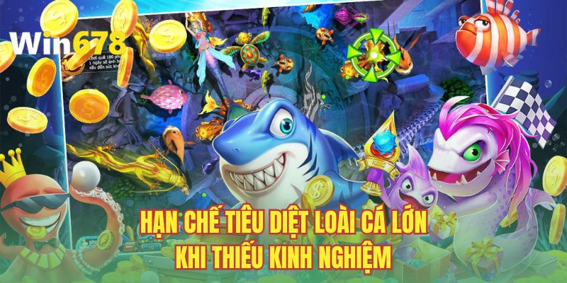 Hạn chế việc tiêu diệt loài cá lớn khi thiếu kinh nghiệm